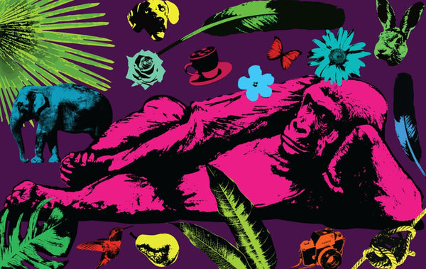 A few of our favourite things plus King Makara